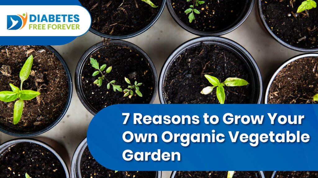 7 Reasons to Grow Your own organic vegetable garden